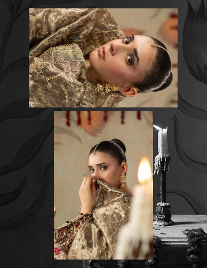 Areej Naqash-E-Makhmal D/04 - Jet Black Gold-Embroidered Velvet Pakistani Salwar Suit