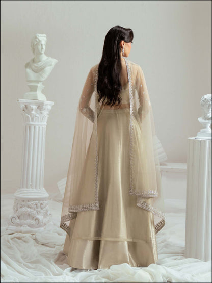 Zariya Sandrine (ZSU-6303) - Regal Silver Pakistani Salwar Suit | Studio Wedding Couture