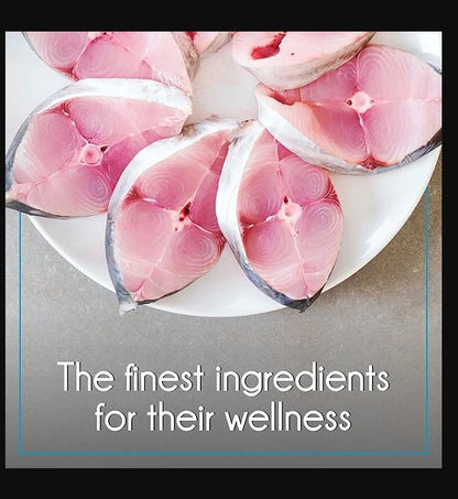 PUREPET Adult Cat Food - Seafood Kibble for Healthy Cats in Kolkata

Provide your adult cat in Kolkata with the balanced nutrition they need with PUREPET Adult Cat Food in a delicious Seafood flavour. These easy-to-serve kibble bites are specially formulated to cater to various needs of adult cats, including active lifestyles, sensitive stomachs, and hairball control.