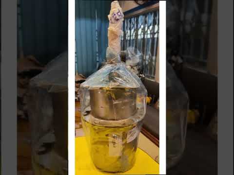 WABCO TVS Girling M500010 Spring Brake Chamber