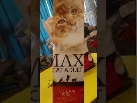 Treat your cat to the delicious and nutritious blend of Maxi Sardines &amp; Mackerel Cat Food.