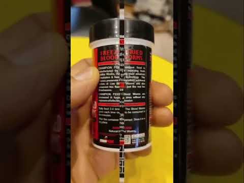 Champion Dry Blood Worms - Freeze-Dried Premium Fish Food 