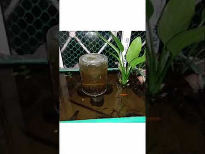 Experience a thriving, crystal-clear aquatic ecosystem in your Kolkata home or business with our comprehensive aquarium services. We offer regular maintenance, creative aqua-scaping, thorough cleaning, and efficient repair, minimizing water changes and ensuring no dying fish, algae, or ammonia. Dive into the beauty and tranquillity of a well-maintained pond or aquarium, tailored to your unique needs in Kolkata.